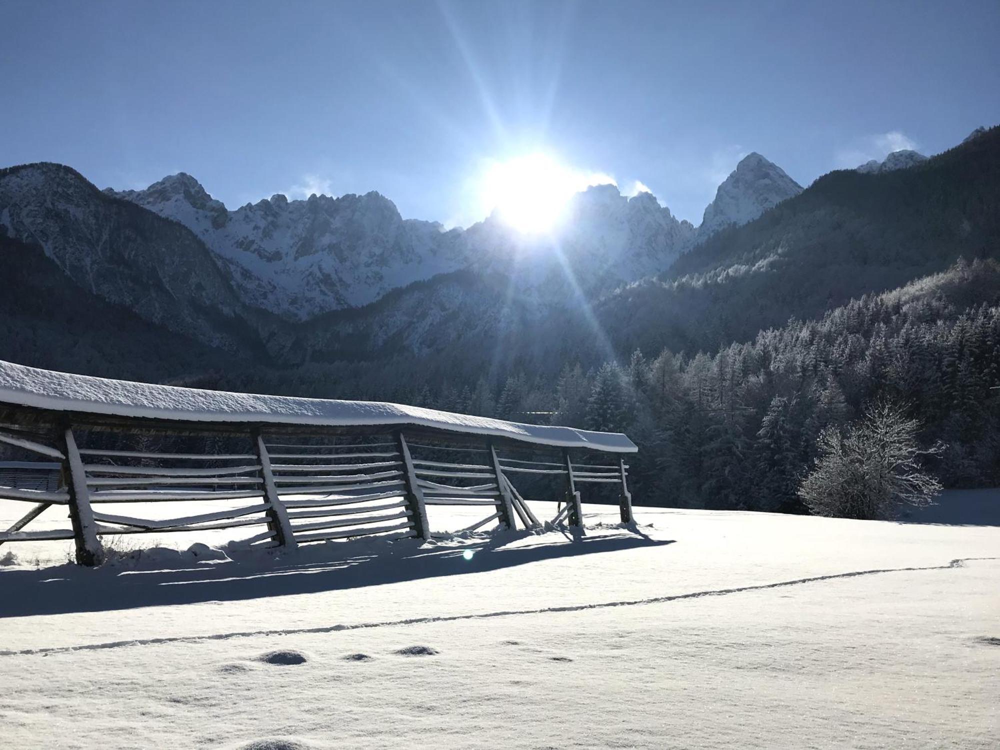 Apartment Loyd, Kranjska Gora - Studio Εξωτερικό φωτογραφία